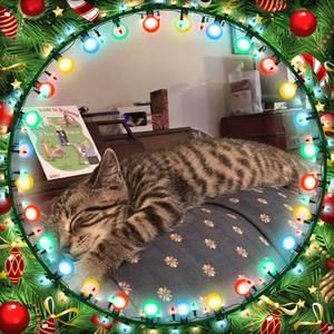 Meet your Posher, Steve-donna